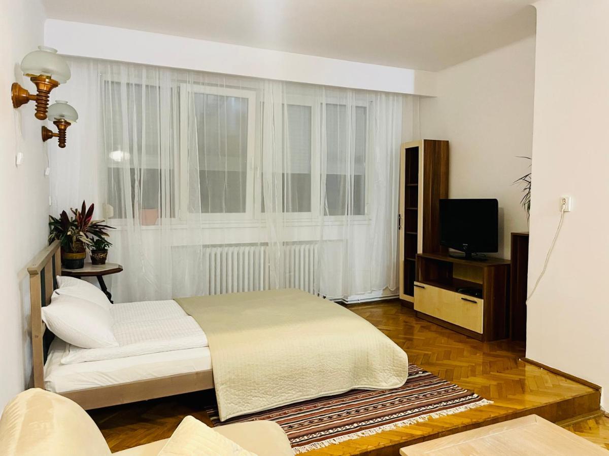 Little Cute Central House Apartment Satu Mare Exterior foto