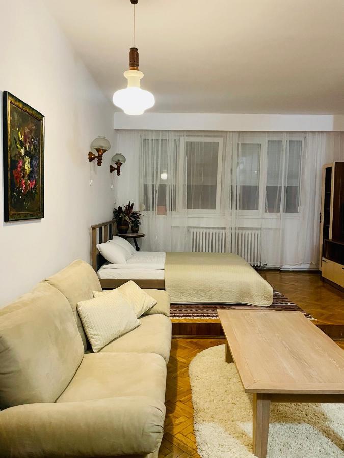 Little Cute Central House Apartment Satu Mare Exterior foto