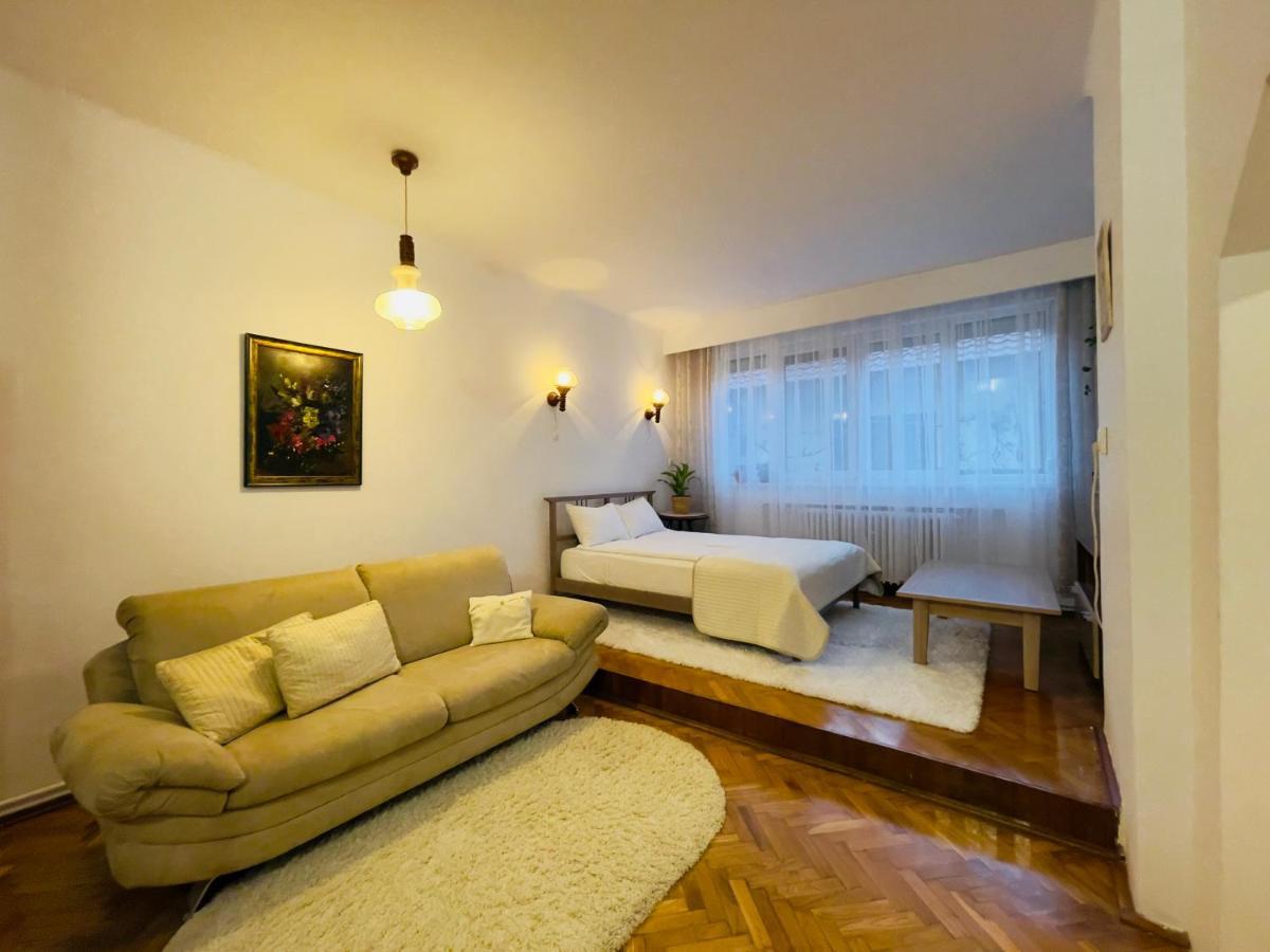 Little Cute Central House Apartment Satu Mare Exterior foto
