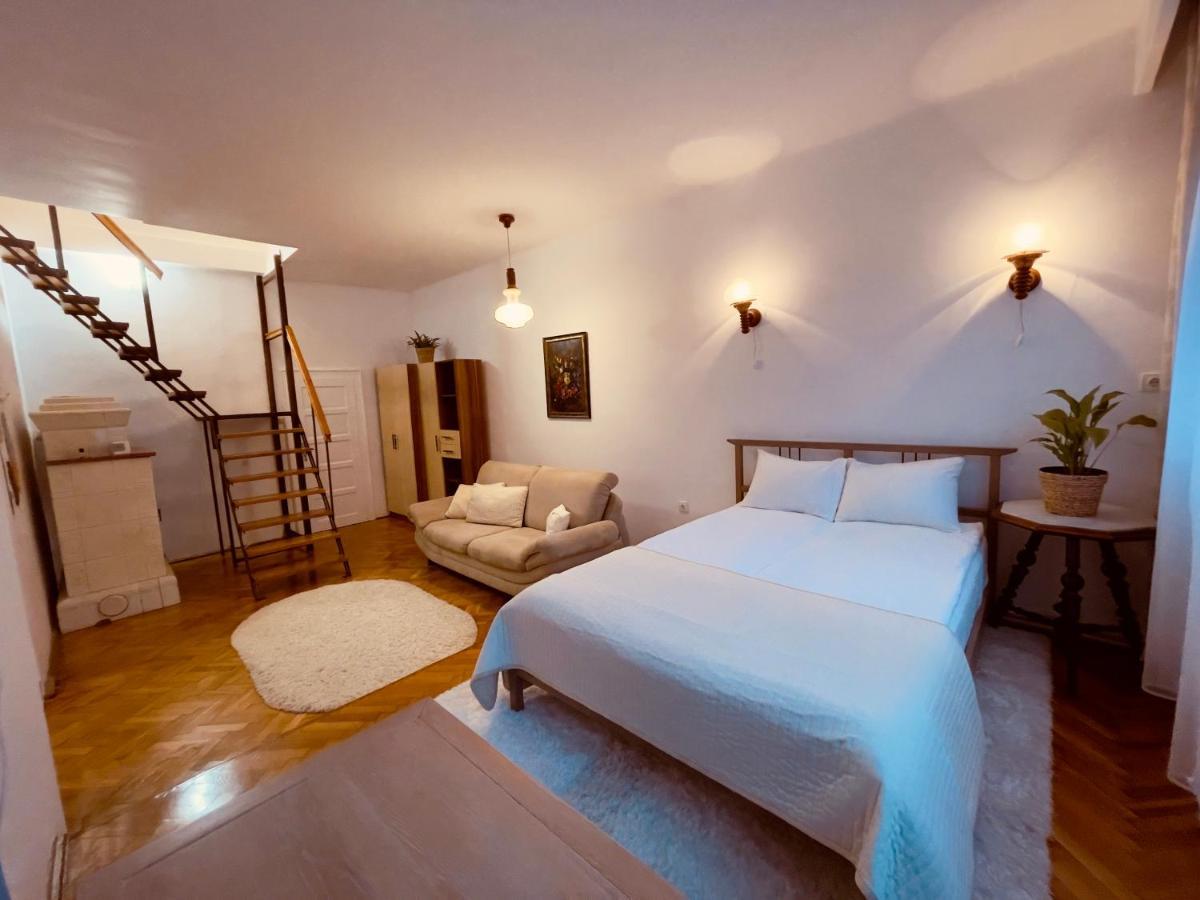 Little Cute Central House Apartment Satu Mare Exterior foto