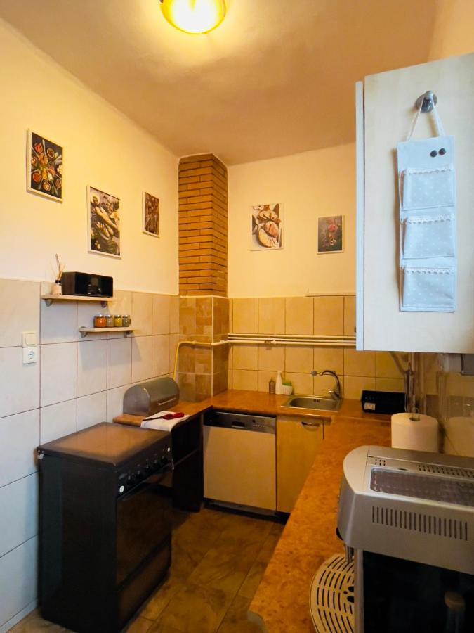 Little Cute Central House Apartment Satu Mare Exterior foto