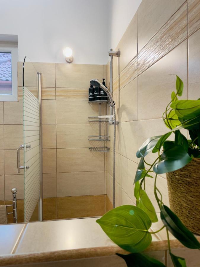 Little Cute Central House Apartment Satu Mare Exterior foto
