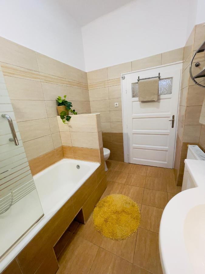 Little Cute Central House Apartment Satu Mare Exterior foto
