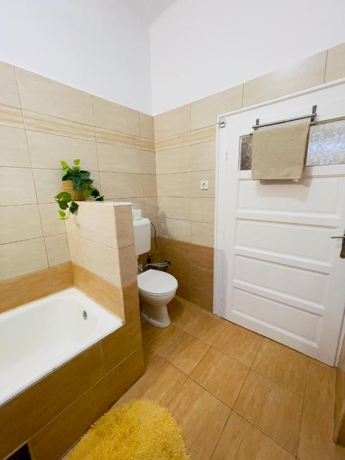 Little Cute Central House Apartment Satu Mare Exterior foto