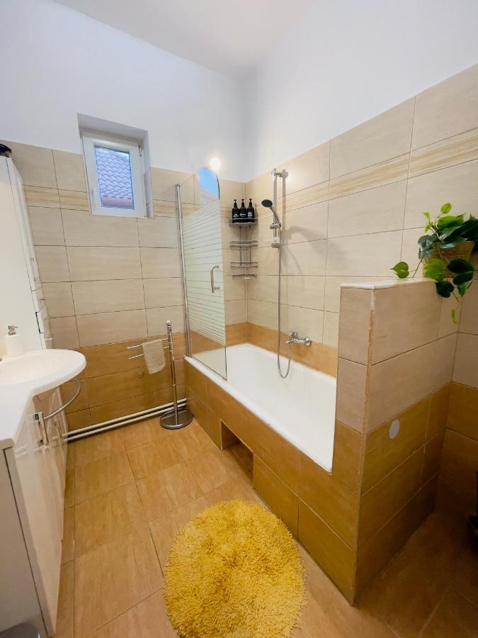 Little Cute Central House Apartment Satu Mare Exterior foto